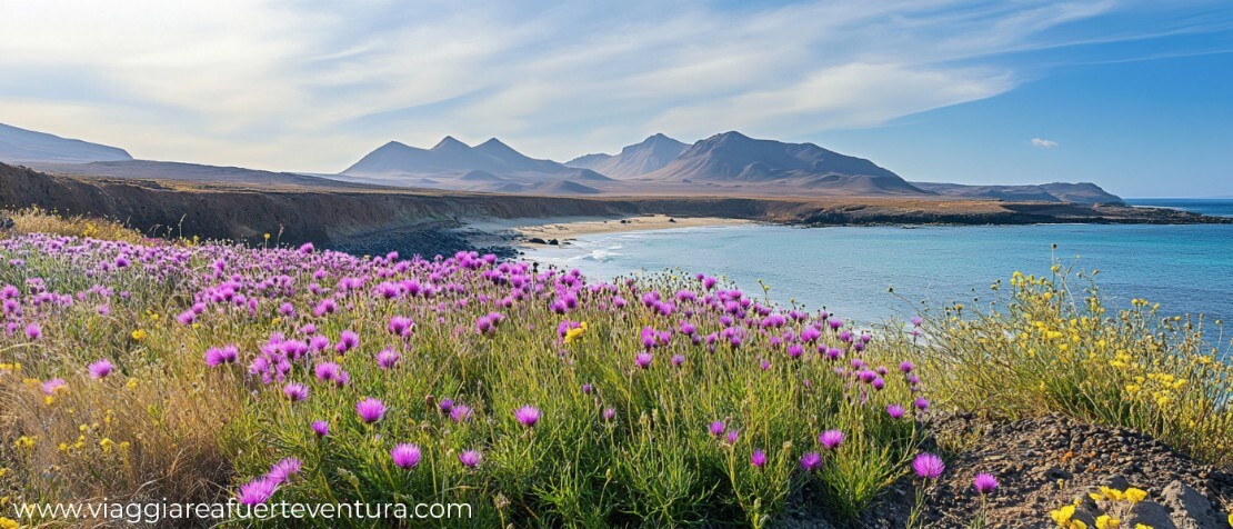 Viaggio a Fuerteventura